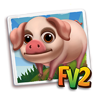 Pig Adult Lacombe, , Brigitte a élevé 1 Cochon Lacombe primé., Brigitte a terminé d